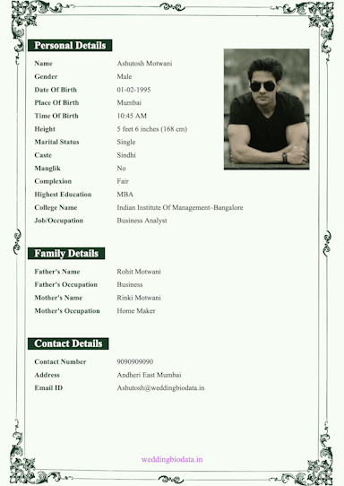 popular biodata design 32